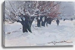 Постер Яновский Станислав A row of trees against the background of snow