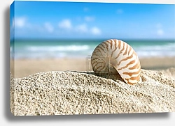 Постер Ракушка на фоне океана