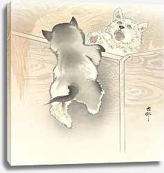 Постер Косон Охара Two playing dogs