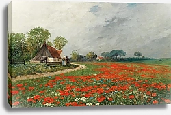 Постер Кауфман Адольф A Poppy Field with Daisies