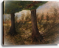 Постер Эндрюс Элифале Деревья у ручья