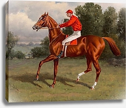 Постер Сталл Генри Гнедая скаковая лошадь, возможно, Хаос, победительница второго розыгрыша 