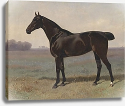 Постер Волкерс Эмиль Рэп в пейзаже