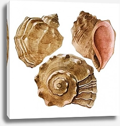 Постер Коллекция акварельных ракушек