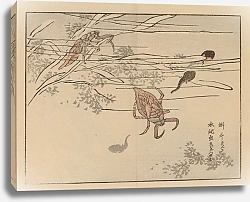 Постер Байрей Коно Байрей гафу, пл. 67