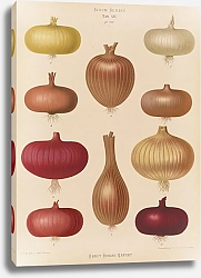 Постер Бенари Эрнст Лук