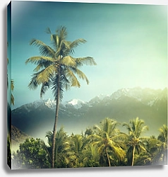 Постер Пальмы на фоне гор