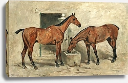 Постер Эммс Джон Подарок на память и Пип'о