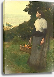 Постер Данган Паскаль Young Woman in a Garden of Oranges