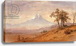 Постер Бирштад Альберт Mount Hood, 1863