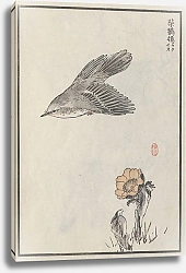 Постер Байрей Коно Bairei hyakuchō gafu. Ten Pl.02