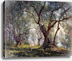 Постер Брукман  Генри Les oliviers à Menton