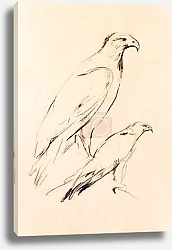 Постер Величие пернатых