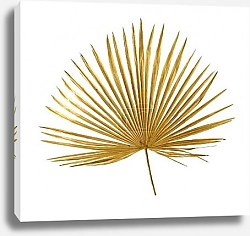 Постер Сушеный веерный лист