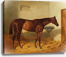 Постер Адам Эмиль Кобыла 'Kincsem’