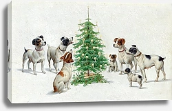 Постер Райхерт Карл Рождество