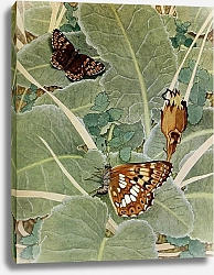 Постер Робер Поль-Андре La Lucine