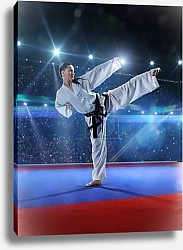 Постер Профессиональная каратистка