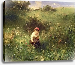 Постер Кнаус Людвиг A Young Girl in a Field