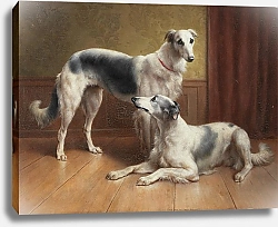 Постер Райхерт Карл Пара борзых в интерьере