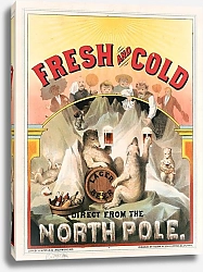 Постер Хоен и Ко Fresh and cold Lager beer direct from the North Pole