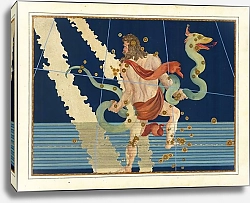 Постер Байер Иоганн Ophiuchus and Serpentarius