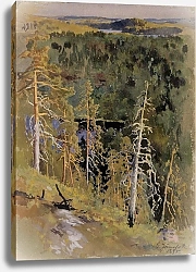 Постер Ярнефельт Ээро Лесной пейзаж