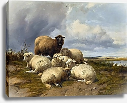 Постер Купер Томас Сидни Надвигающийся шторм кентерберийские луга