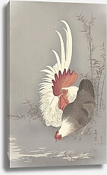 Постер Косон Охара Rooster and chicken
