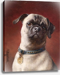 Постер Райхерт Карл Швабры