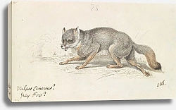 Постер Смит Чарльз Гамильтон The Gray Fox