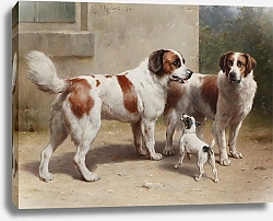 Постер Райхерт Карл Три собаки