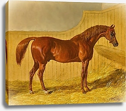 Постер Херринг Джон Актеон