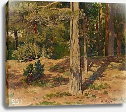 Постер Шишкин Иван Waldinneres