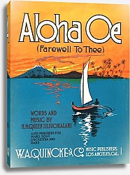 Постер Неизвестен Алоха, оэ