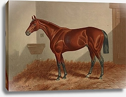 Постер Сталл Генри Ten Broeck