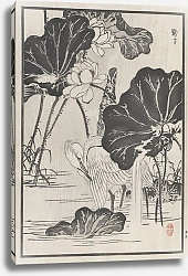 Постер Байрей Коно Bairei hyakuchō gafu. Ten Pl.11