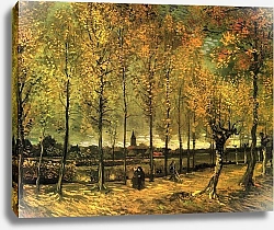 Постер Ван Гог Винсент (Vincent Van Gogh) Дорожка с тополями
