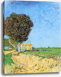 Постер Ван Гог Винсент (Vincent Van Gogh) Сельская улица близ Арля