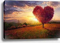 Постер Сердце природы