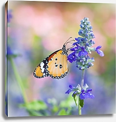 Постер Красивая бабочка на синем цветке в саду