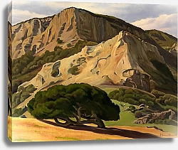 Постер Брюс Эдвард Oaks and Rocks–San Luis Obispo