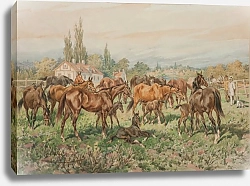 Постер Коссак Юлиуш Жеребец на лугу