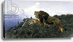 Постер Кунер Вильгельм Lions at Dusk,
