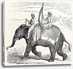 Постер Elephant in Oude, antique Indian northern kingdom, By unidentified author, published on L'Illustrati