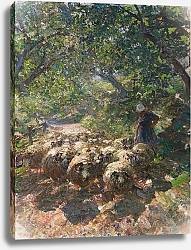 Постер Зюгеь Генрих Стадо овец с пастушкой в тенистой лощине