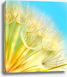 Постер Одуванчик 5