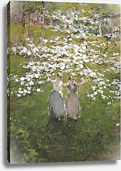 Постер Холмс Уильям Распустившийся