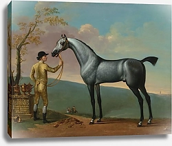 Постер Спенсер Томас Starling a Grey Racehorse, by Bay Bolton, Held by a Groom, in a Landscape