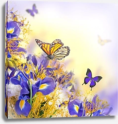 Постер Жёлто-фиолетовые цветы и бабочки